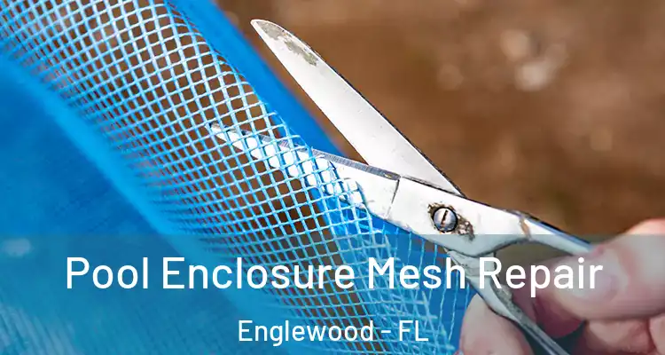  Pool Enclosure Mesh Repair Englewood - FL